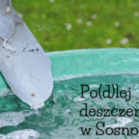 Po(d)lej deszczem w Sosnowcu