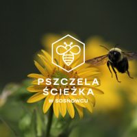 Światowy Dzień Pszczoły w Sosnowcu [ZDJĘCIA]