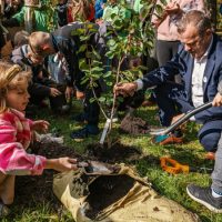 Kilka tysięcy drzew i krzewów – taki będzie jesienny bilans nasadzeń na terenie Sosnowca