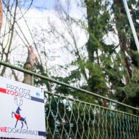Kamery zwiększą bezpieczeństwo w mini zoo