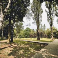 Sosnowiec powiększa ogród botaniczny