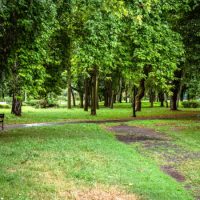 Park przy Bulwarach Czarnej Przemszy odzyska blask