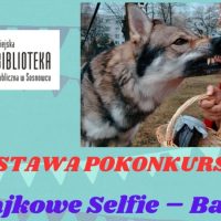 “Bajkowe Selfie” w&nbsp;Filii nr&nbsp;7