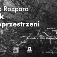 Hanna Rozpara – Uskok czasoprzestrzeni. Wernisaż w Niegalerii