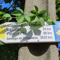 Spacer szlakiem Via Regia przez Sosnowiec – cz.1