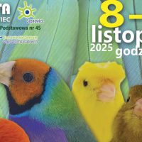 Ptasi Festiwal w Sosnowcu