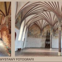 Barbra Marzec „RÓŻ … NO&nbsp;… ROD … NOŚĆ” – wystawa w&nbsp;Filii nr&nbsp;15 – Mec 