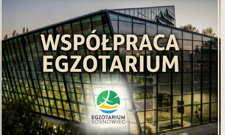 Współpraca Egzotarium z&nbsp;korzyścią dla mieszkańców Sosnowca