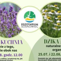 Dzikie warsztaty w&nbsp;Egzotarium – odkryj moc dzikich roślin
