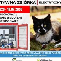 Charytatywna zbiórka dla chorych kotów