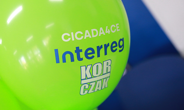 Otwarcie „Międzypokoleniowego ogrodu bioróżnorodności i&nbsp;edukacji” przy VI LO im.&nbsp;J. Korczaka powstałego w&nbsp;ramach realizacji projektu CICADA4CE [ZDJĘCIA]