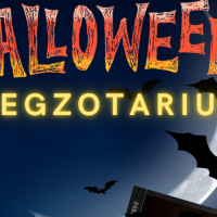 Halloween w&nbsp;sosnowieckim Egzotarium