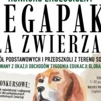 „Mega paka dla zwierzaka” – konkurs dla szkół podstawowych i&nbsp;przedszkoli
