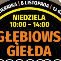 Zagłębiowska Giełda Winyli w&nbsp;Mediatece